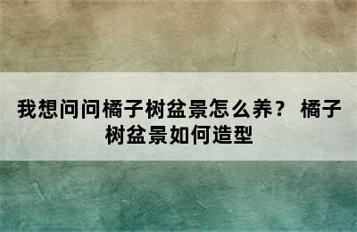 我想问问橘子树盆景怎么养？ 橘子树盆景如何造型